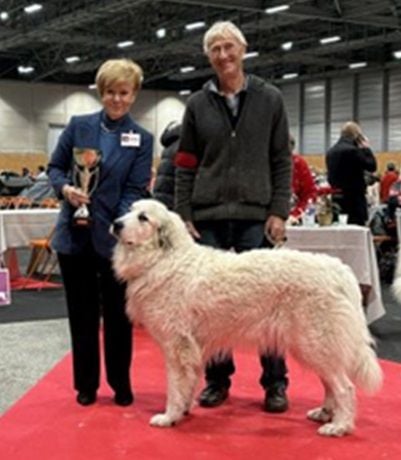 CH. Toune Du pic de viscos - Meilleur de Race CACS 1er Excellent