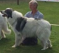 Hermine Du pic de viscos - RCACS 2ème/50