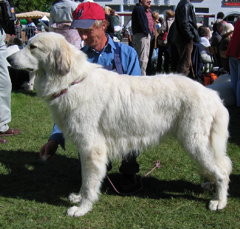 Tavertet Du pic de viscos - 4° Exc