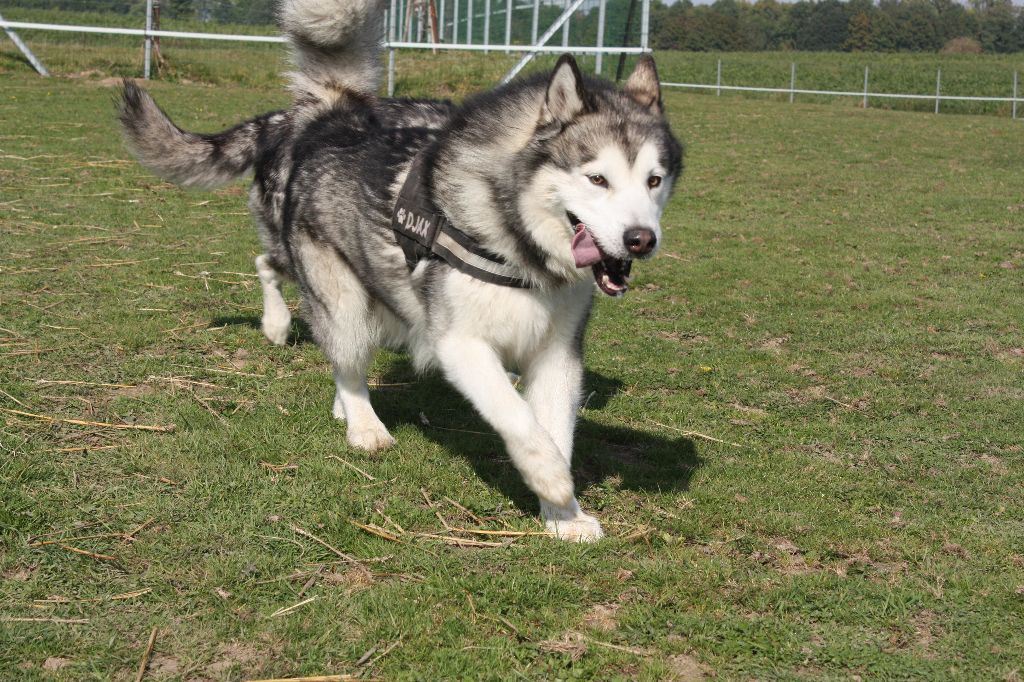 Publication : on Kamiakan Trail