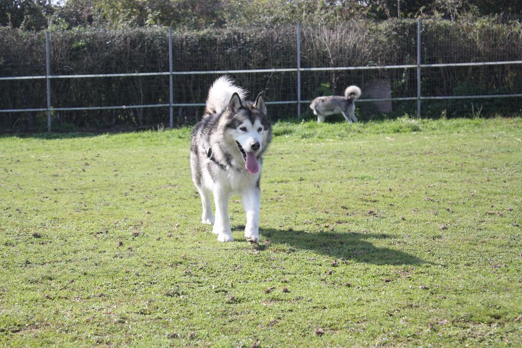 Publication : on Kamiakan Trail