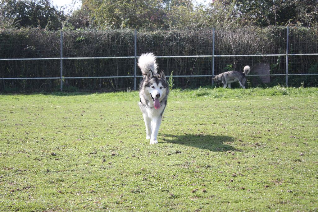 Publication : on Kamiakan Trail