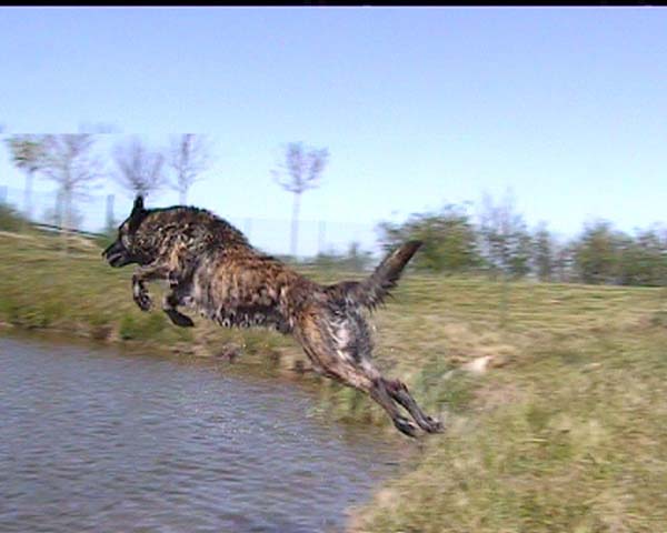 Publication : Des Fonds de Gueule