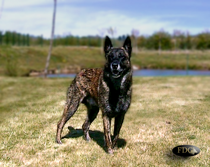 Publication : Des Fonds de Gueule