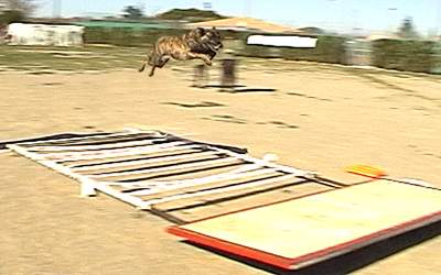 Publication : Des Fonds de Gueule