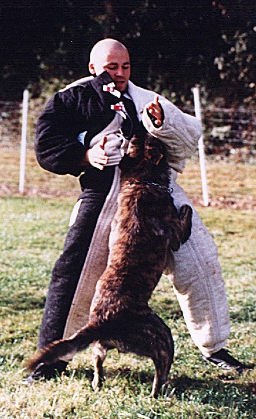 Publication : Des Fonds de Gueule