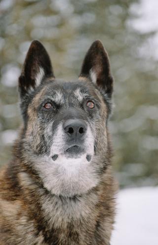 Publication : Des Fonds de Gueule