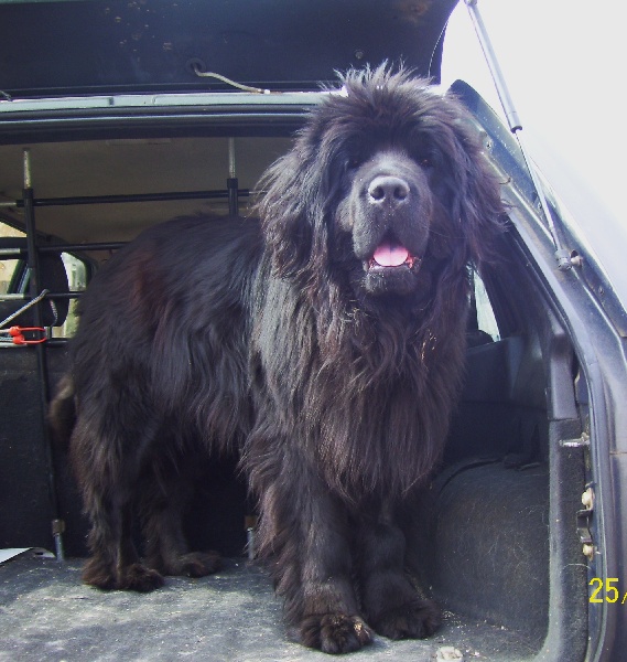 Publication : de la ferme de Terranova Auteur : a servillat