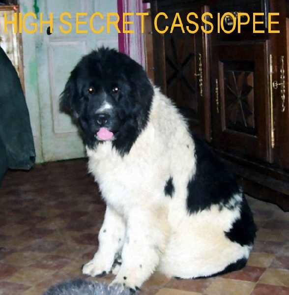 Publication : de la ferme de Terranova Auteur : A . SERVILLAT