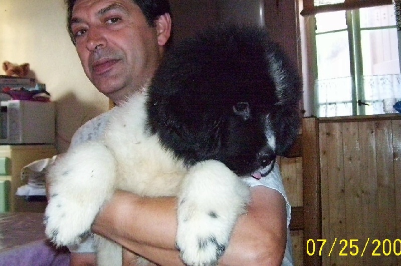 Publication : de la ferme de Terranova Auteur : A . SERVILLAT