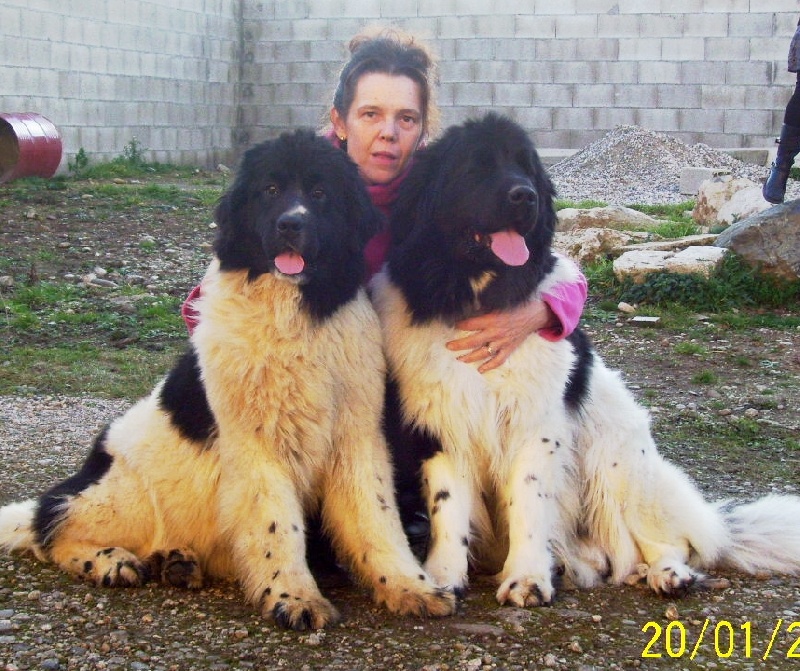 Publication : de la ferme de Terranova Auteur : A . SERVILLAT