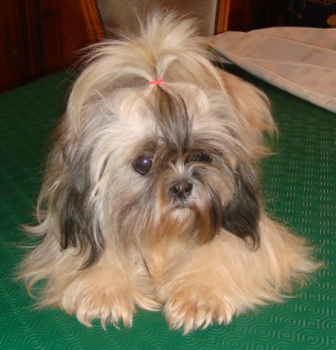 Publication : des Merveilles D'Oceane