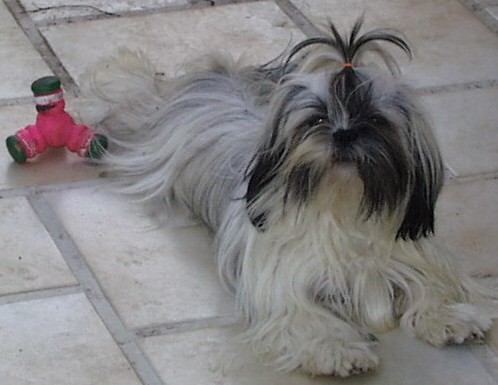 Publication : des Merveilles D'Oceane