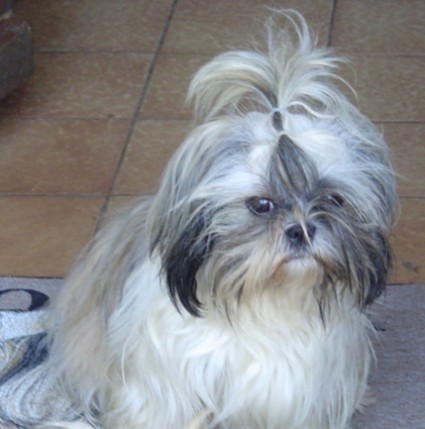 Publication : des Merveilles D'Oceane