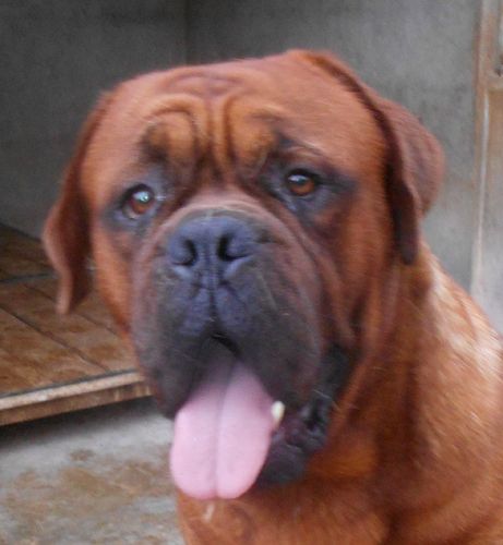 Publication : du domaine des Rouvres Auteur : Eugénie Chichkina