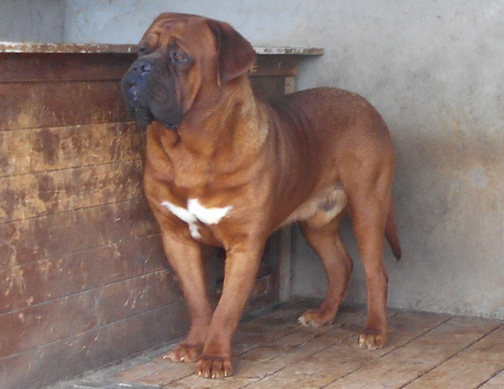 Publication : du domaine des Rouvres Auteur : Eugénie Chichkina