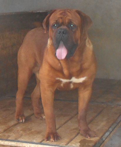 Publication : du domaine des Rouvres Auteur : Eugénie Chichkina