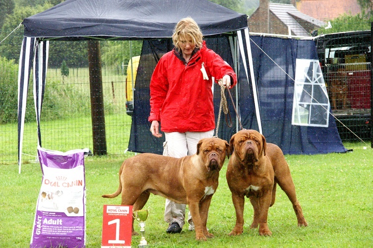 CH. Figaro du domaine des Rouvres - Excellent - RING D'HONNEUR