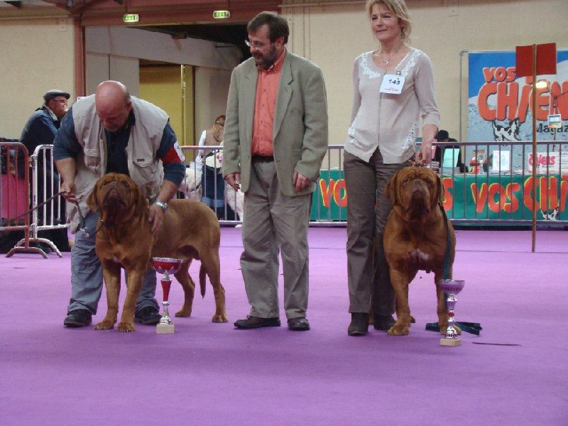 CH. Figaro du domaine des Rouvres - 1er Excellent en classe jeune - MEILLEUR JEUNE et MEILLEUR DU 2ème GROUPE