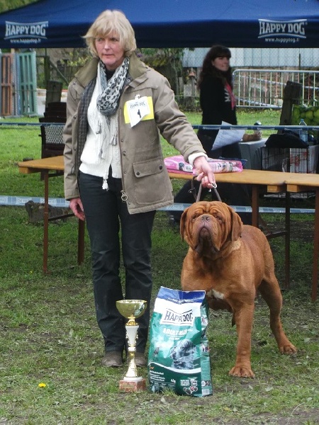 CH. Figaro du domaine des Rouvres - Excellent RING D'HONNEUR