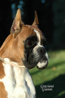 Publication : du royaume de sky