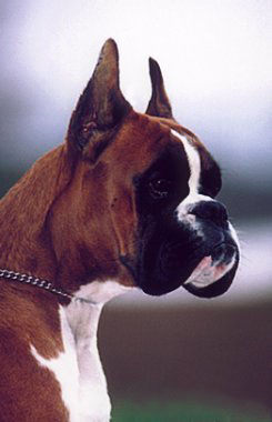 Publication : du royaume de sky