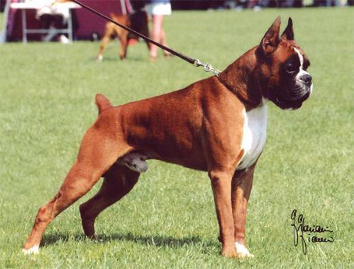 Publication : du royaume de sky