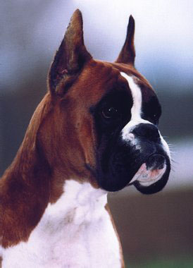 Publication : du royaume de sky