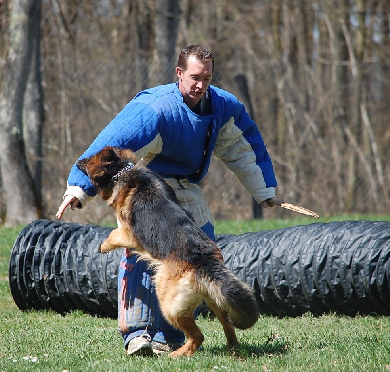 Publication : du lunoxa