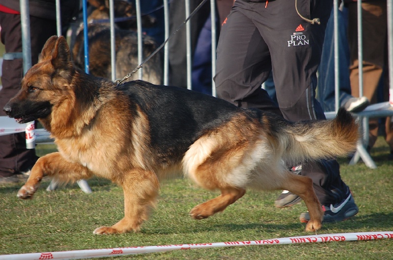 Publication : du lunoxa