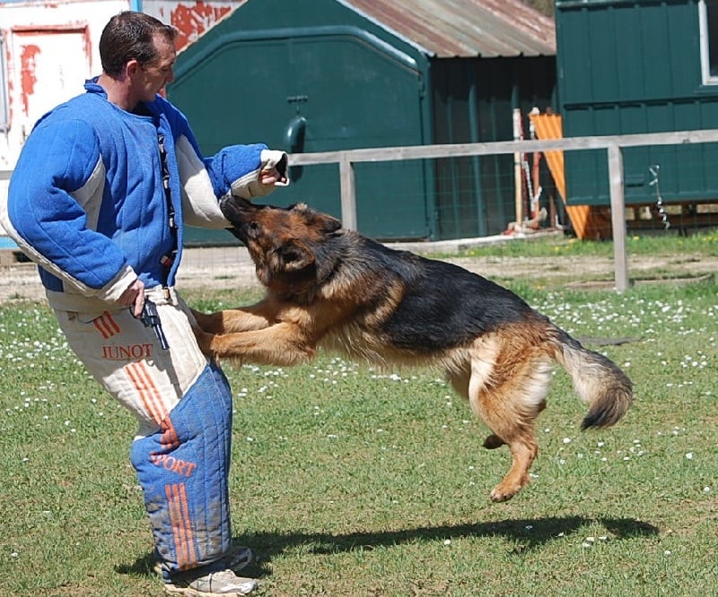 Publication : du lunoxa