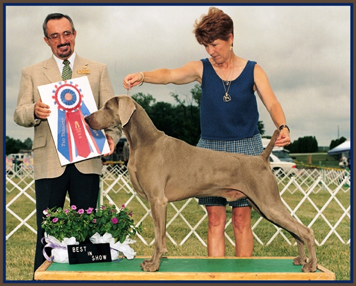 Publication : von silberweiss jäger Auteur : Susan K. Casper, United States