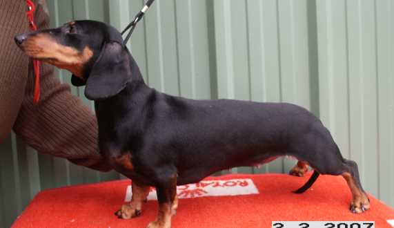 Publication : de la chapellerie Auteur : Ferré Oger