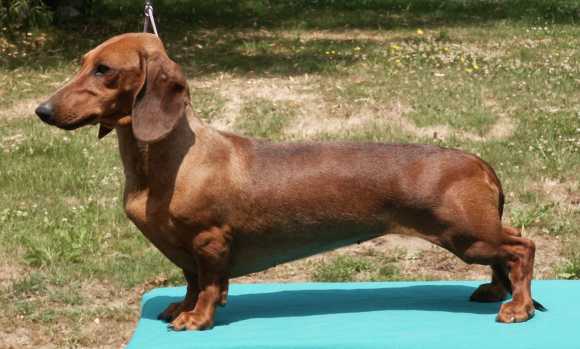 Publication : de la chapellerie Auteur : Ferré Oger