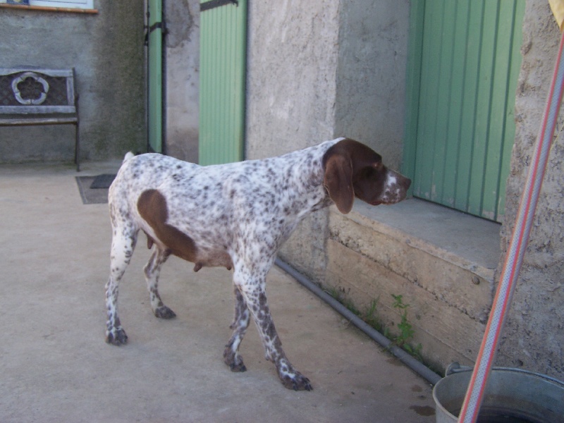 Publication : de Saint Montange