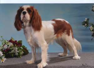 Calamity jane des cigales vaunageoles