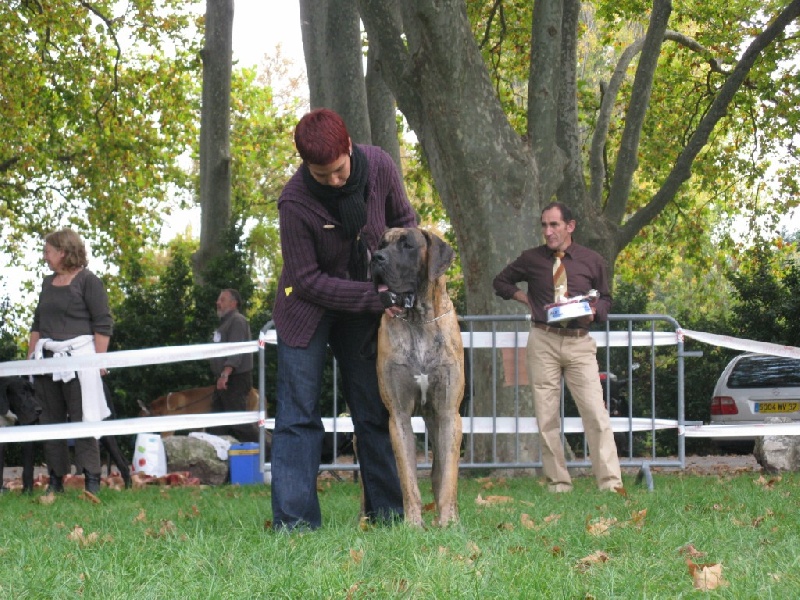 Cole Du jardin de l'olympe