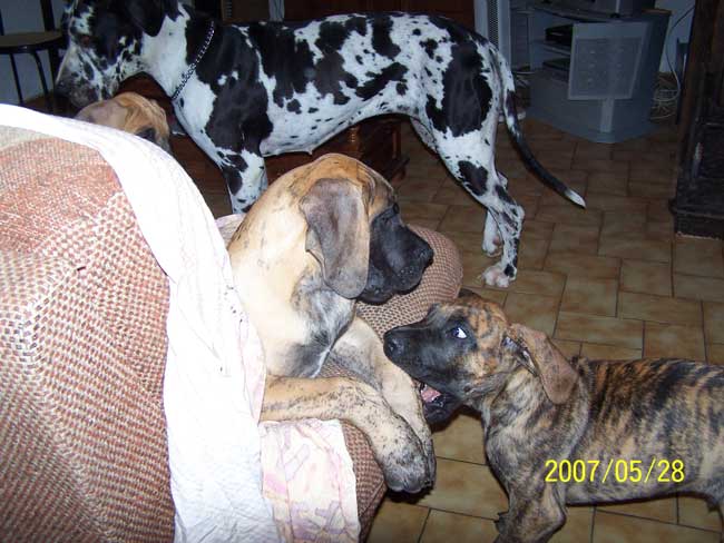 Cole Du jardin de l'olympe