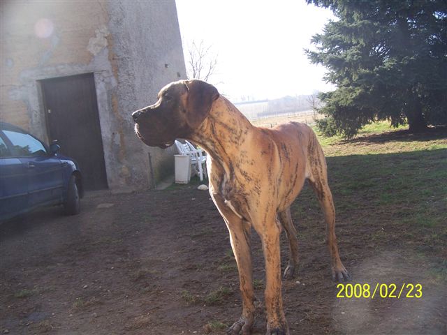 Cole Du jardin de l'olympe