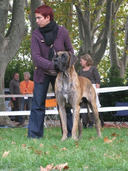 Cole Du jardin de l'olympe