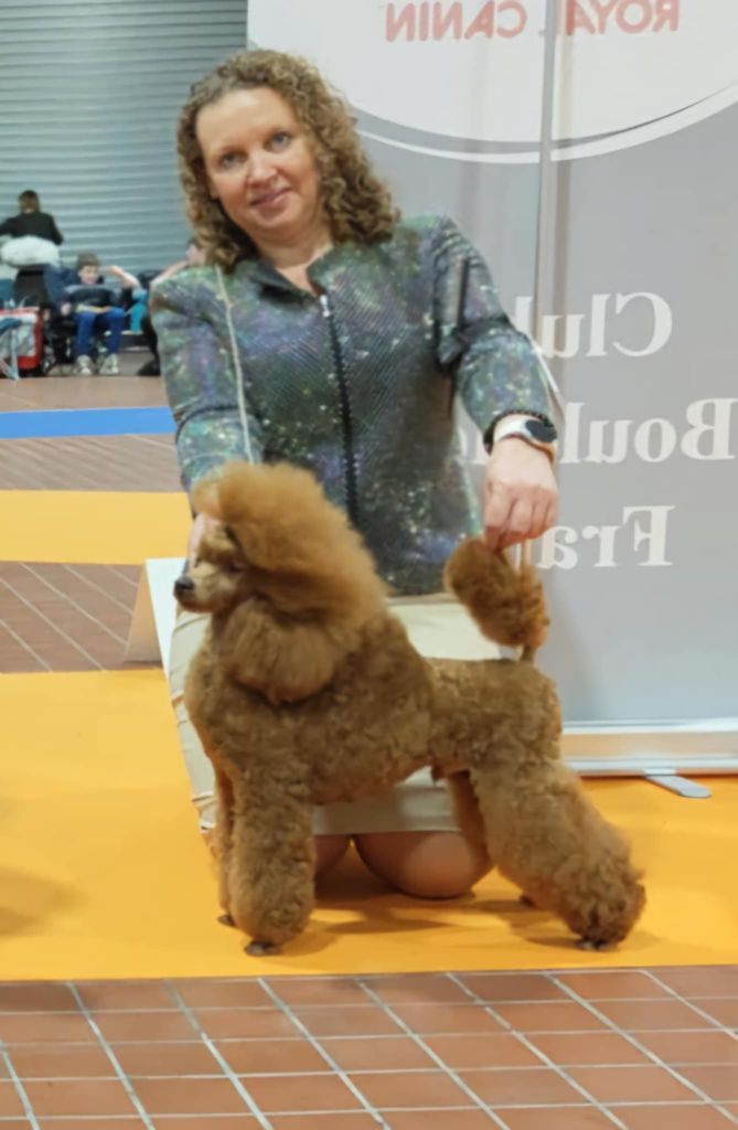 CH. giulfo Emerald-f