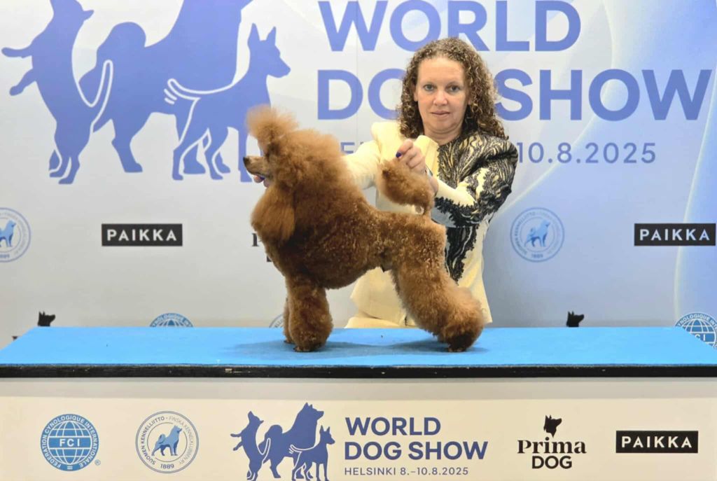 CH. giulfo Emerald-f