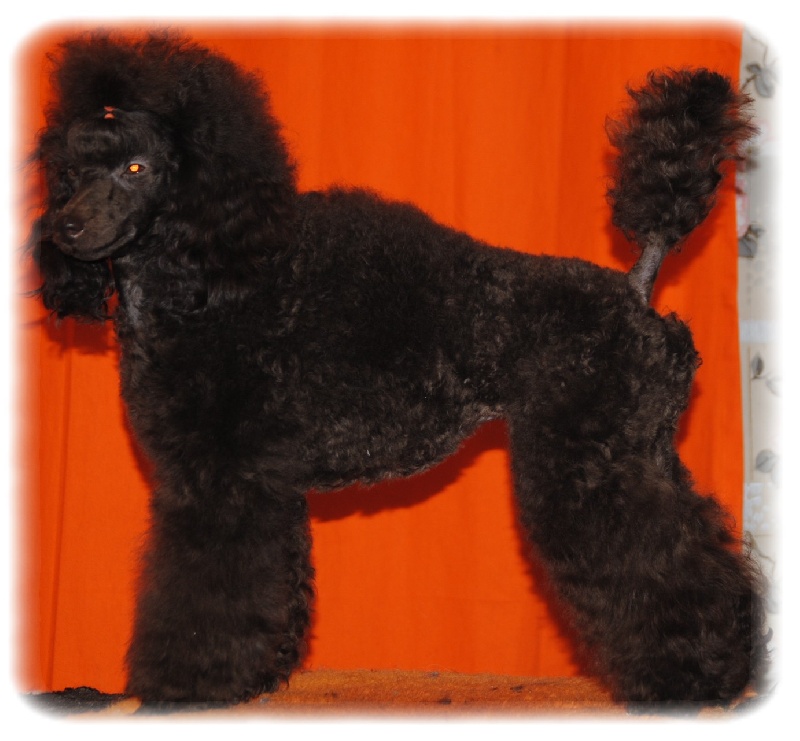 Publication : de la Cascade Saint Nicolas