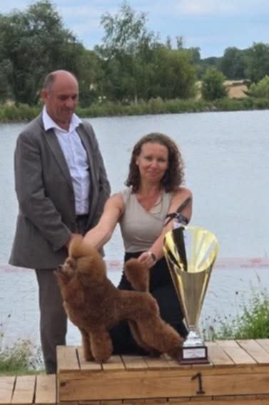 CH. giulfo Emerald-f