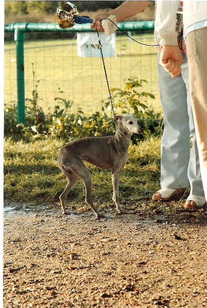 CH. Ideale blue girl des tendres calins