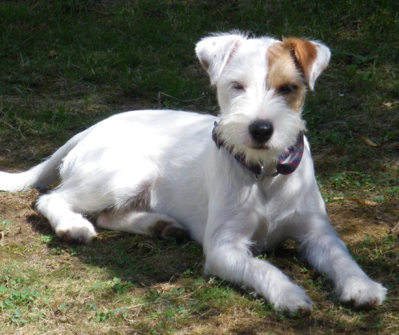 Publication : La vallée de l'echiquier