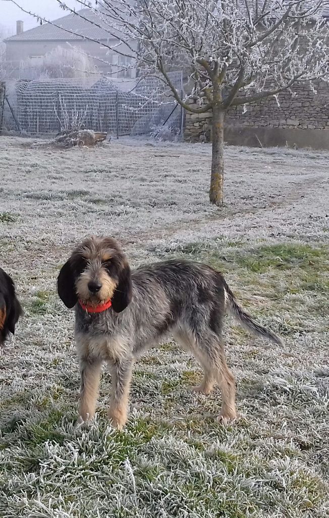 Publication : La vallée de l'echiquier