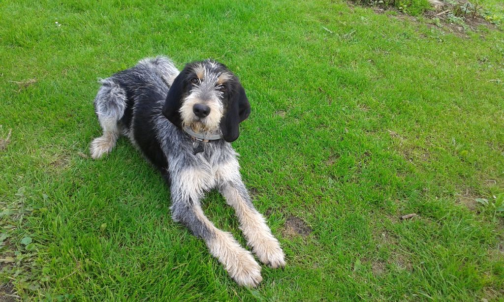 Publication : La vallée de l'echiquier