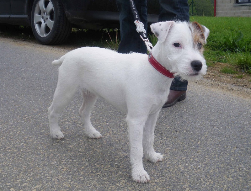 Publication : La vallée de l'echiquier