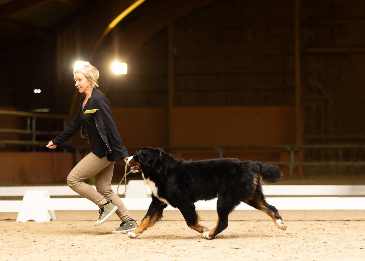 Rufin bernenska sfora